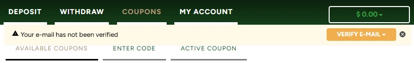 iNetBet Casino Cashier Tabs Verify Email