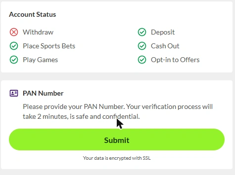 Puntit Account Verification