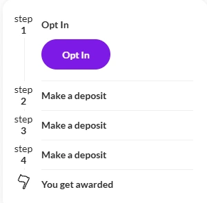 Puntit Offer Opt In
