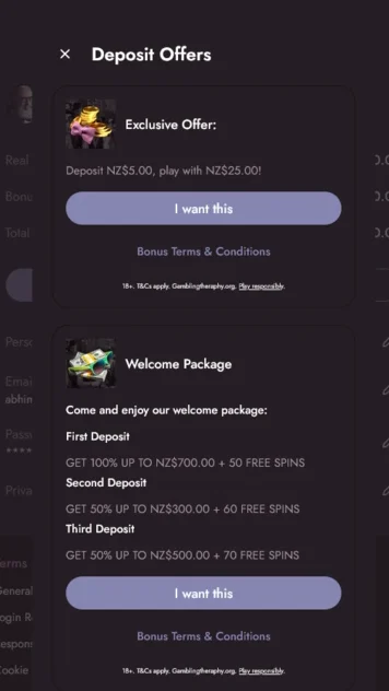 MrFortune Casino Welcome Bonus Selector